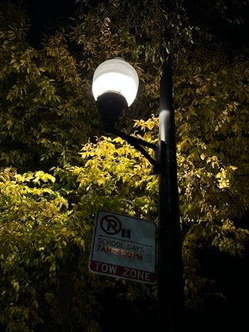 Photography 4