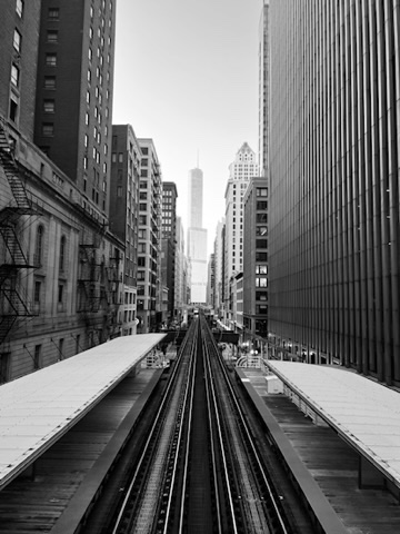 Amateur Photographer